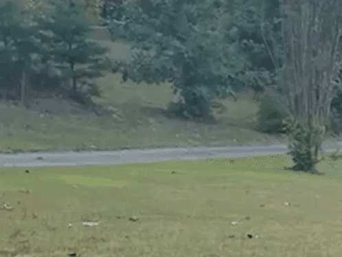A Man Is Running Down A Path In A Park With Trees In The Background GIF