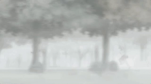 A Man Is Running Through A Foggy Forest In A Black And White Photo . GIF