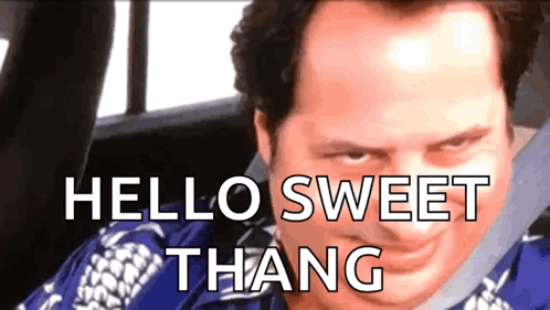 A Man Is Sitting In A Car With The Words Hello Sweet Thang On His Face GIF
