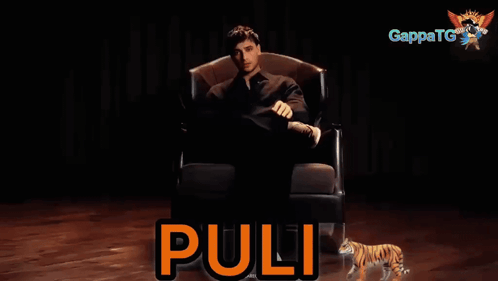 A Man Is Sitting In A Chair With A Tiger Behind Him And The Word " Pulli " In Orange GIF
