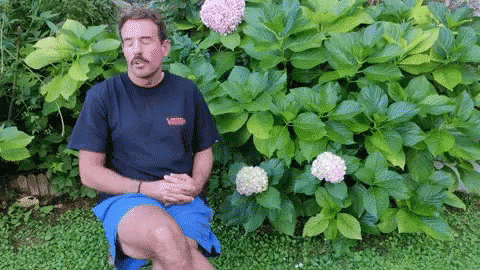 Man Sitting In Front Of Pink Flower Bush GIF