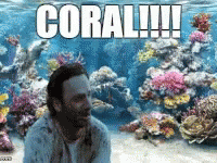 A Man Is Sitting In Front Of A Coral Reef With The Words Coral !!! Written Above Him GIF