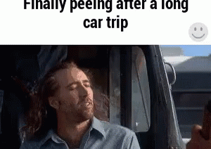 A Man Is Sitting In The Driver 'S Seat Of A Car With His Head Out The Window . GIF