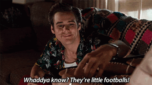A Man Is Sitting On A Couch And Saying " Whadda Know They 'Re Little Footballs " GIF