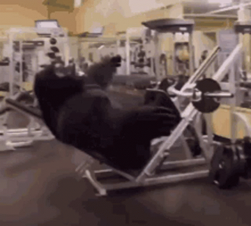 A Man Is Sitting On A Machine In A Gym With His Legs Crossed . GIF