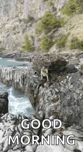 A Man Is Sitting On A Rock Overlooking The Ocean With A Good Morning Message . GIF