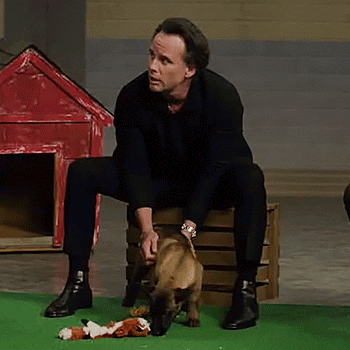 A Man Is Sitting On A Wooden Box With A Dog Looking At Him GIF
