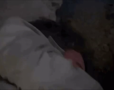 A Man Is Sleeping In A Bed With His Head On A Pillow And His Eyes Closed . GIF