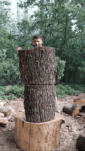A Man Is Standing Behind A Stack Of Logs In The Woods GIF