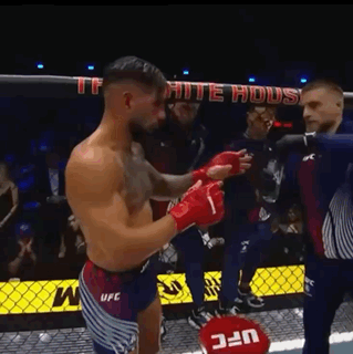 A Man Is Standing In A Boxing Ring With A Sign That Says Ufc On It GIF