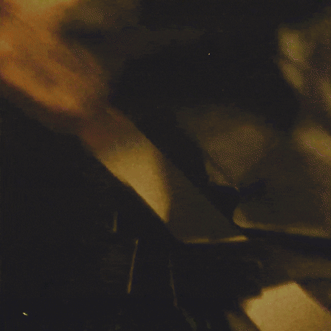 A Man Is Standing In A Jungle With Lots Of Plants GIF