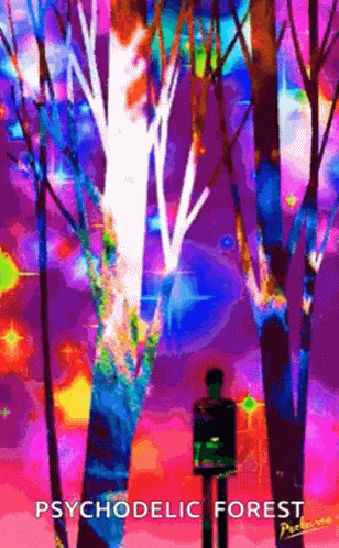 A Man Is Standing In A Psychedelic Forest With Trees . GIF