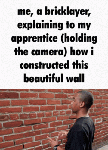 A Man Is Standing In Front Of A Brick Wall With A Caption That Says Me A Bricklayer Explaining GIF