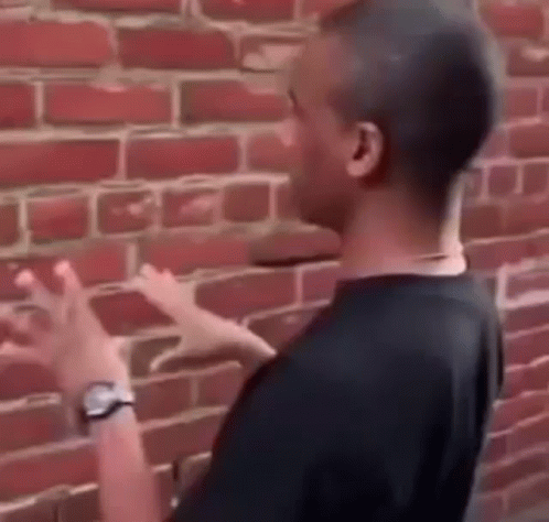 A Man Is Standing In Front Of A Brick Wall With His Hands Up . GIF