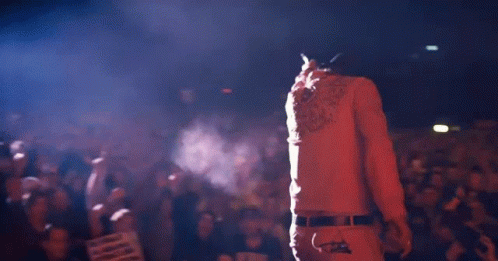 A Man Is Standing In Front Of A Crowd At A Concert Holding A Microphone GIF