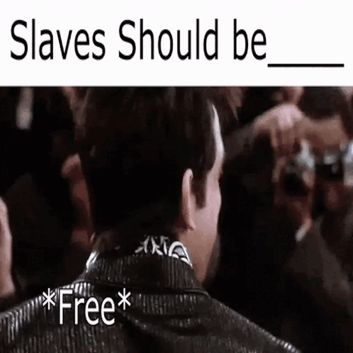 A Man Is Standing In Front Of A Crowd With The Words `` Slaves Should Be Free '' On His Back . GIF