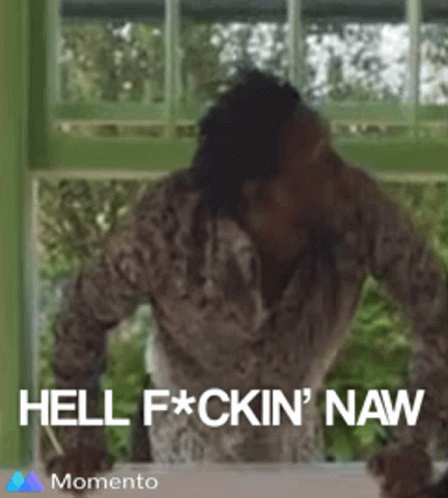 A Man Is Standing In Front Of A Window With The Words Hell Fuckin ' Naw On The Bottom . GIF