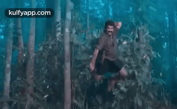 A Man Is Standing In The Middle Of A Forest In The Water . GIF