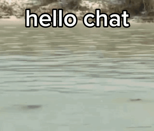 a man is standing in the water with his hand on his head and says hello chat .
