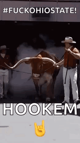a man is standing next to a brown bull with long horns and smoke coming out of it .