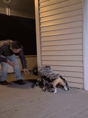 A Man Is Standing Next To A Stuffed Spider GIF