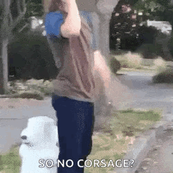 A Man Is Standing Next To A White Dog With The Words `` So No Corsage '' Written On The Bottom Of The Image . GIF