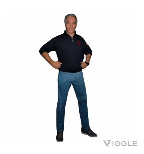 A Man Is Standing With His Hands On His Hips And The Word Vigge Is On The Bottom GIF