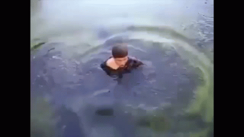 A Man Is Swimming In A Body Of Water With A Turtle Behind Him . GIF