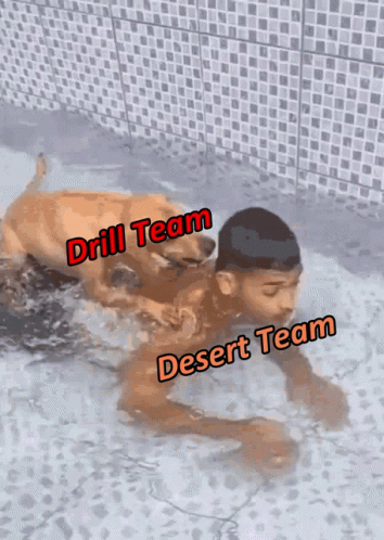 A Man Is Swimming In A Pool With A Dog And The Words " Drill Team " And " Desert Team " Above Him GIF