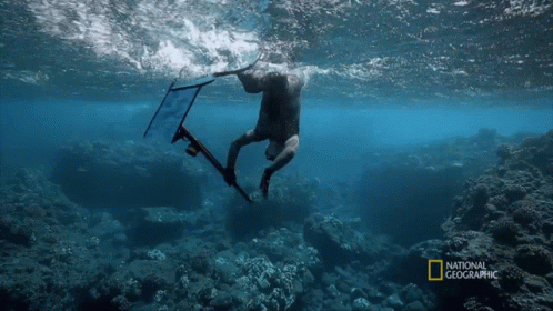 A Man Is Swimming In The Ocean With A National Geographic Logo GIF