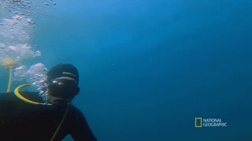 A Man Is Swimming In The Ocean With The Words National Geographic Behind Him GIF