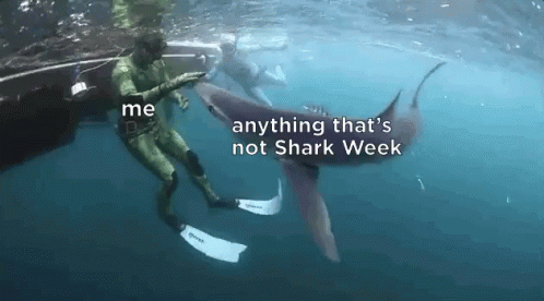 A Man Is Swimming With A Shark And Says " Me Anything That 'S Not Shark Week " In The Water GIF