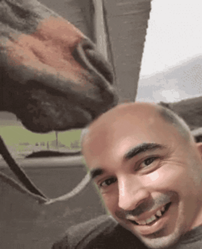 A Man Is Taking A Picture With A Horse Licking His Face GIF