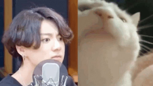 A Man Is Talking Into A Microphone Next To A Cat Looking Up At The Camera . GIF