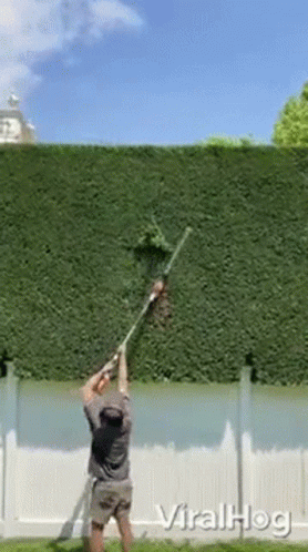 a man is trimming a hedge with a lawn mower .