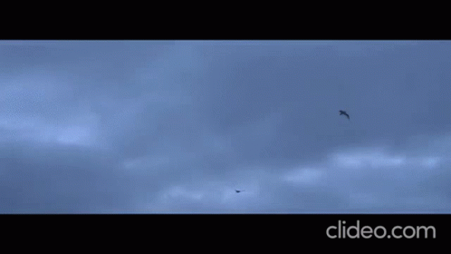 A Man Is Walking On A Beach In A Clip From Clideo GIF