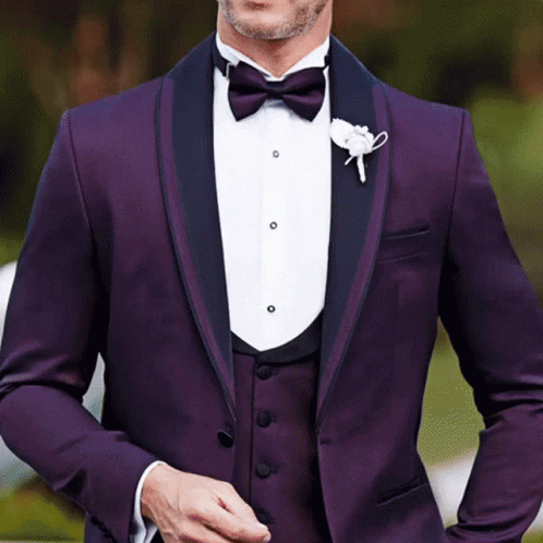 A Man Is Wearing A Purple Tuxedo With A Bow Tie GIF