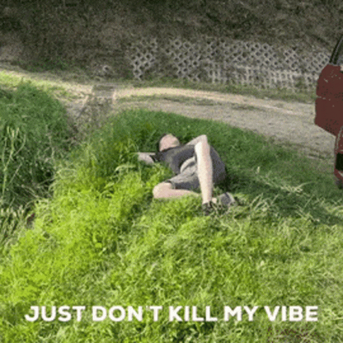 A Man Laying In The Grass With The Words Just Don T Kill My Vibe Below Him GIF