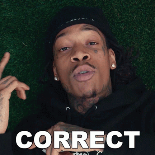 Man Lying On Grass Saying Correct GIF