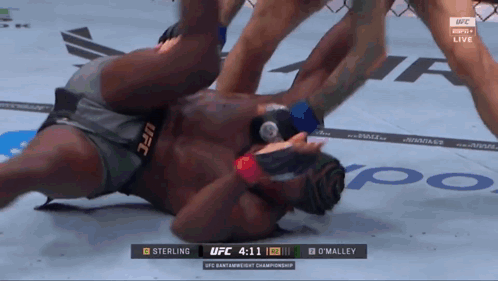 A Man Laying On The Ground During A Ufc Match GIF