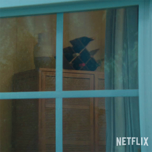 A Man Looking Out Of A Window With A Netflix Logo In The Corner GIF