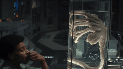 A Man Looks At A Display Of A Creature In A Glass Tank GIF