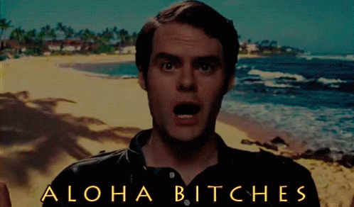A Man On A Beach With The Words Aloha Bitches On The Bottom GIF