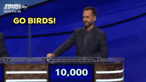 A Man On A Jeopardy Show With The Words Go Birds On The Screen GIF