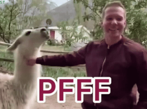 A Man Petting A Llama With The Word Pfff Written On The Screen GIF