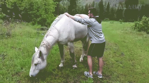 A Man Petting A White Horse In A Field With Failarmy Written In The Corner GIF