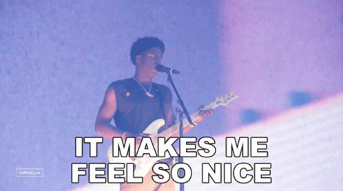 A Man Playing A Guitar And Singing Into A Microphone With The Words It Makes Me Feel So Nice Below Him GIF