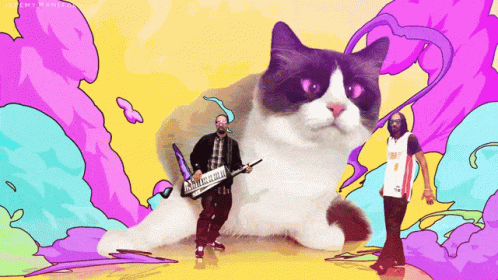 A Man Playing A Keyboard In Front Of A Grumpy Cat And A Man Wearing A Jersey That Says Miami GIF