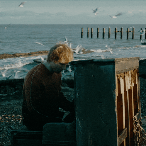 A Man Playing A Piano On A Beach With Seagulls Flying Around Him GIF