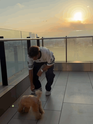 a man playing with a dog on a balcony with the sun setting behind him